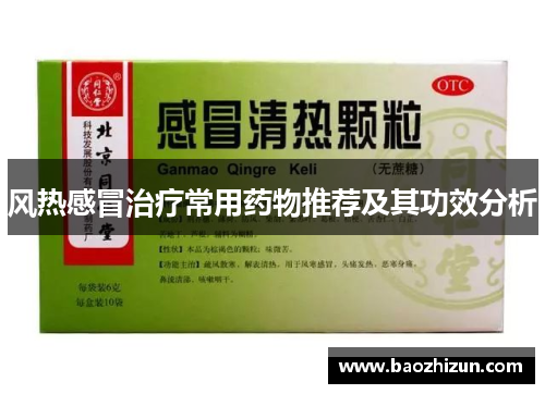风热感冒治疗常用药物推荐及其功效分析