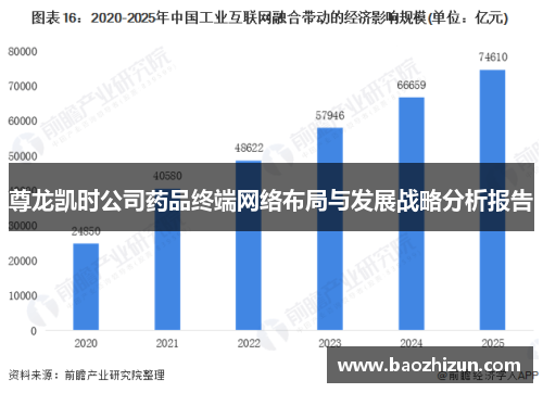 尊龙凯时公司药品终端网络布局与发展战略分析报告